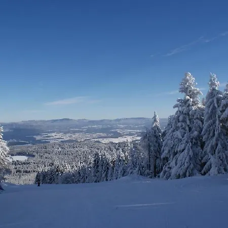 Alte Post Bischofsmais